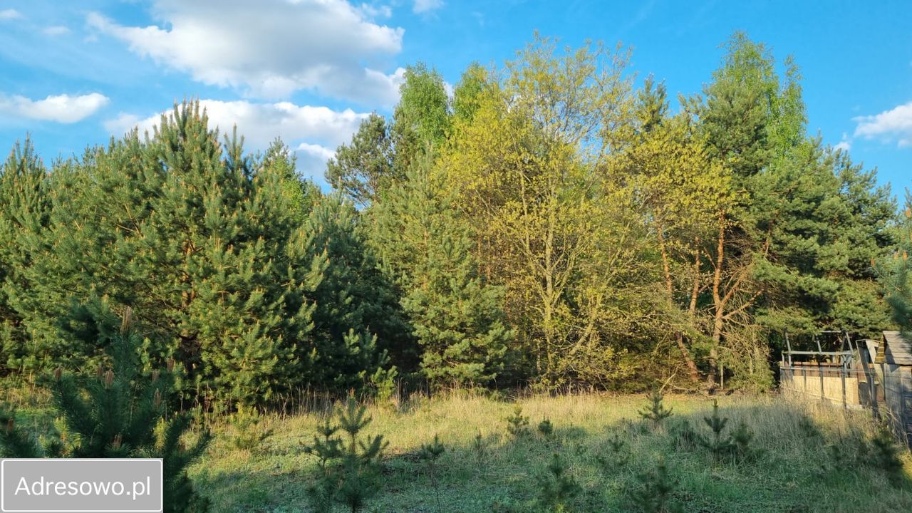 Działka budowlana Powązki, ul. Jarzębinowa. Zdjęcie 7