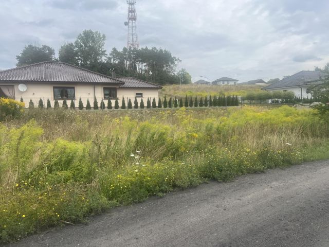 Działka rolno-budowlana Myślibórz, Zielone wzgórze. Zdjęcie 1