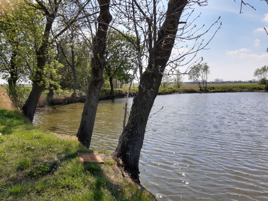 Działka rekreacyjna Kolonia Strzegocin. Zdjęcie 2