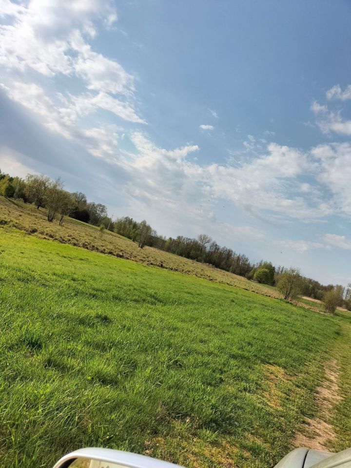 Działka rekreacyjna Orłowo. Zdjęcie 2