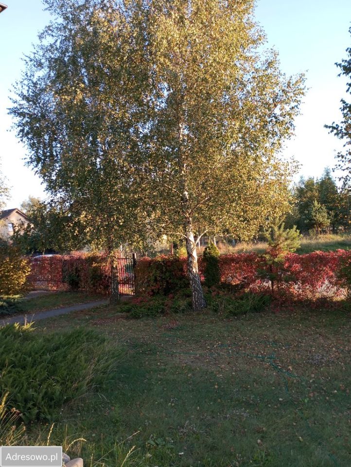 Działka budowlana Pinczyn, ul. Przyjazna. Zdjęcie 6