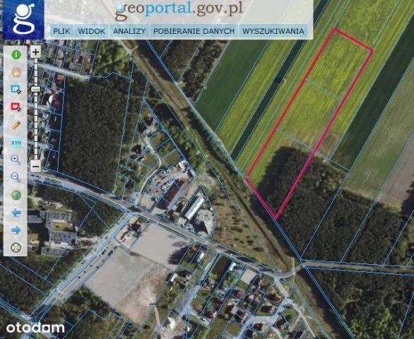 Działka rolno-budowlana Ugniewo, brak. Zdjęcie 1