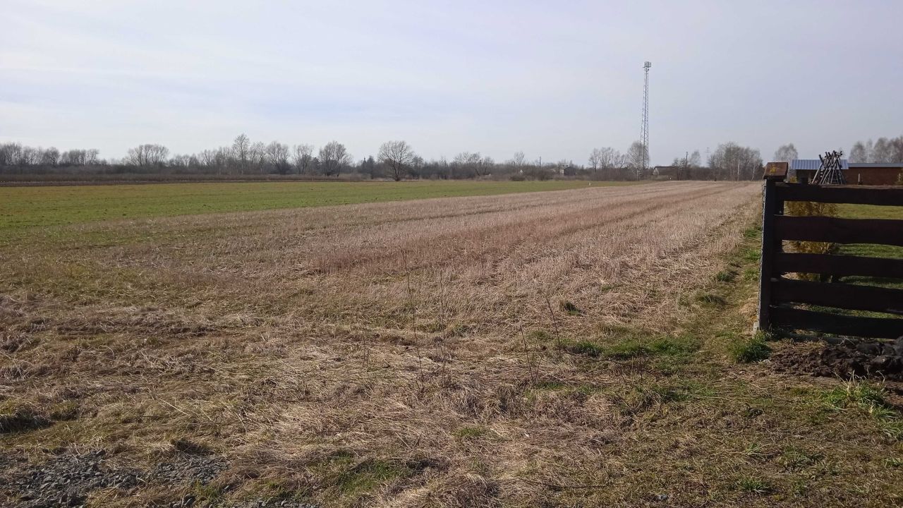 Działka budowlana Gołąb, ul. Błotna. Zdjęcie 1