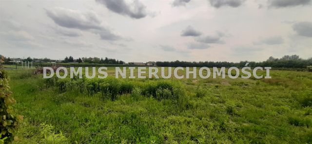 Działka budowlana Brzeziny, ul. Leśna. Zdjęcie 3