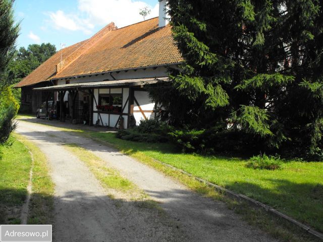 gospodarstwo, 8 pokoi Bronikowo. Zdjęcie 1