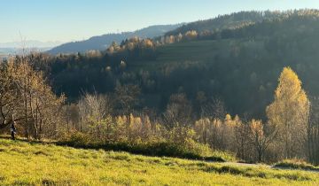 Działka budowlana Tokarnia, Tokarnia