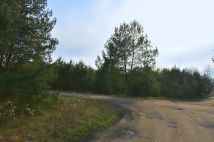 Działka budowlana Miłoszyce, ul. Bzowa. Zdjęcie 4