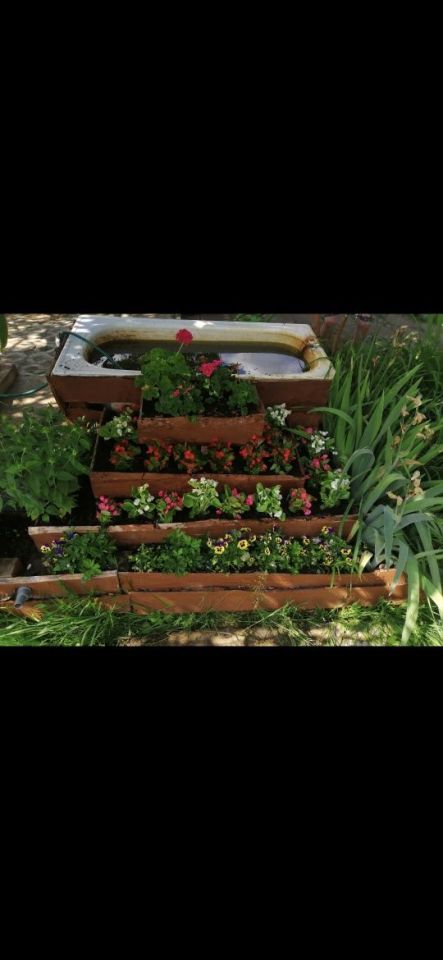 Działka rekreacyjna Czerwieńsk. Zdjęcie 7