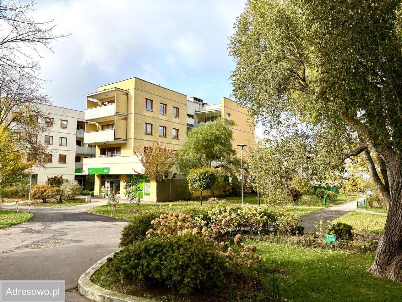 Mieszkanie 3-pokojowe Warszawa Saska Kępa, ul. Saska. Zdjęcie 3