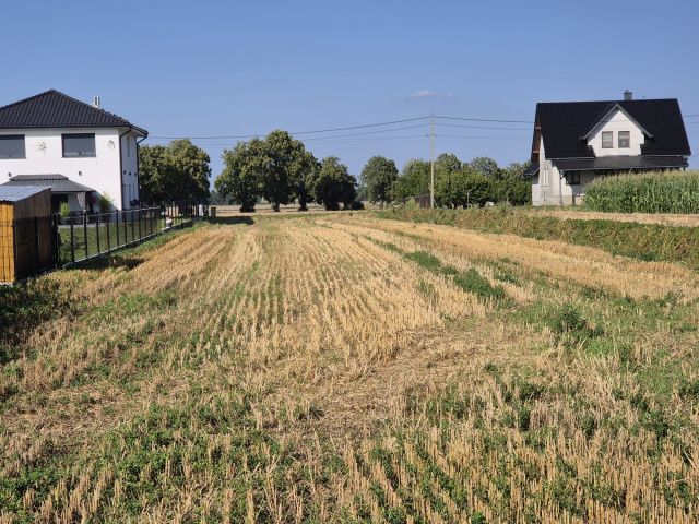 Działka budowlana Pogorzela, ul. Zielone Ogrody. Zdjęcie 1