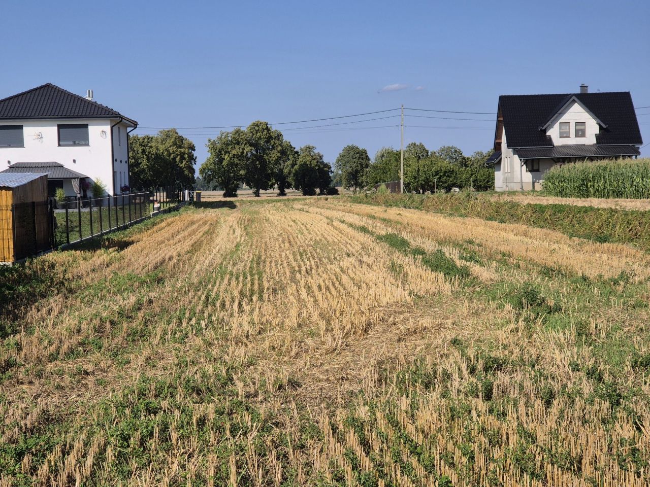 Działka budowlana Pogorzela, ul. Zielone Ogrody. Zdjęcie 1