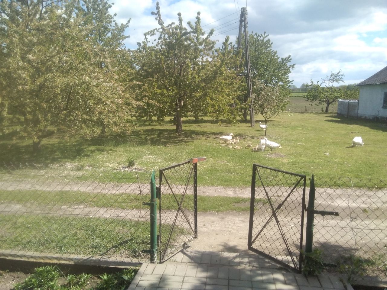 gospodarstwo, 4 pokoje Helenów. Zdjęcie 16