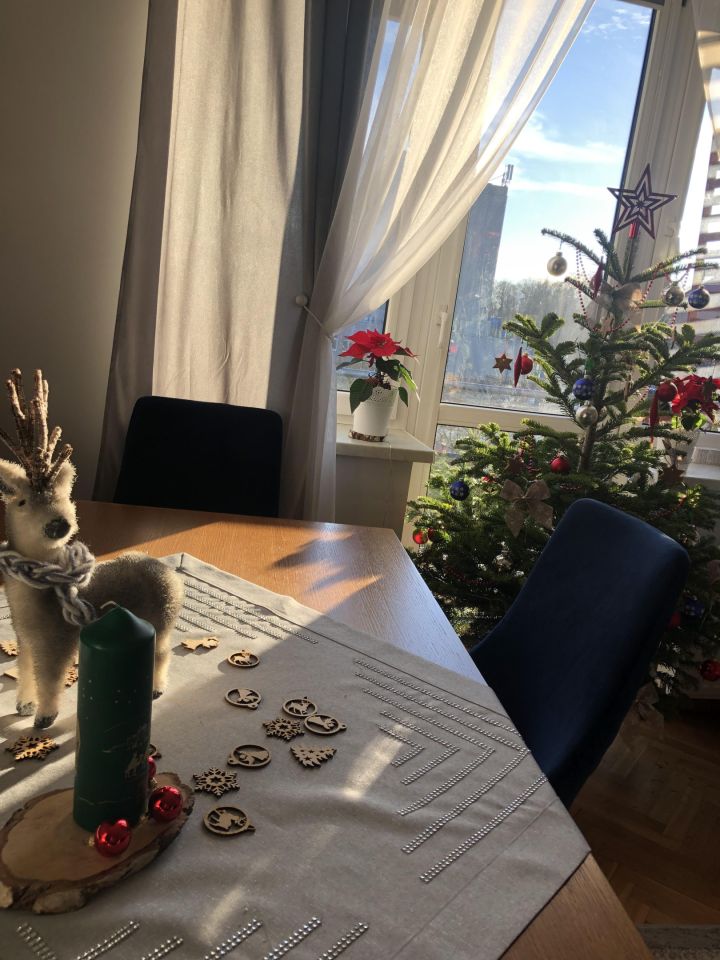 Mieszkanie 2-pokojowe Częstochowa Centrum, ul. Jasnogórska. Zdjęcie 8