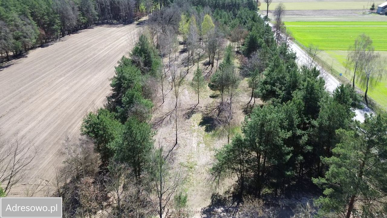Działka budowlana Marynino. Zdjęcie 15