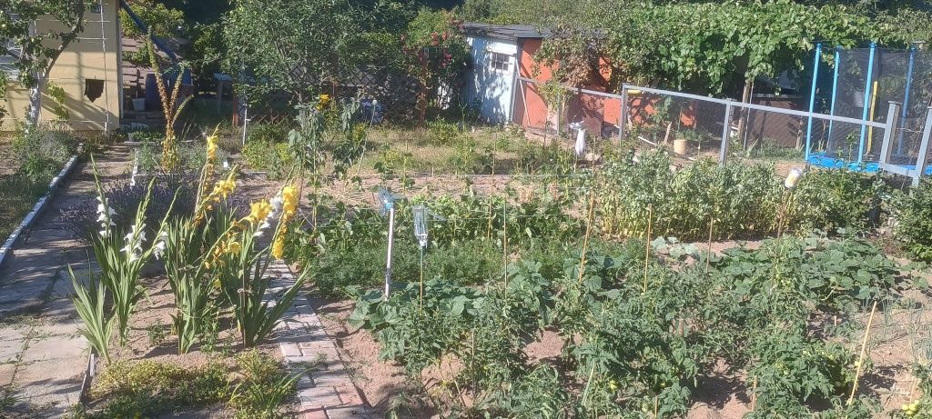 Działka rekreacyjna Zielona Góra, ul. Olchowa