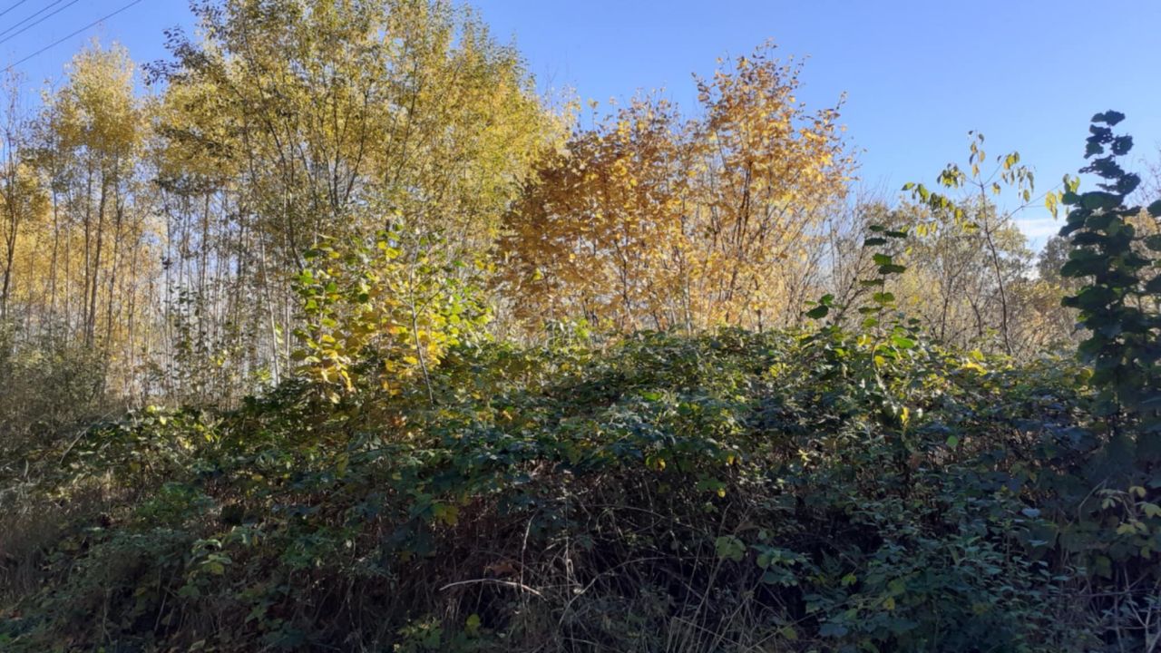 Działka rolno-budowlana Łubowo, ul. Polna. Zdjęcie 4