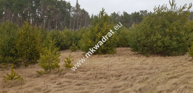 Działka budowlana Budy Iłowskie. Zdjęcie 6