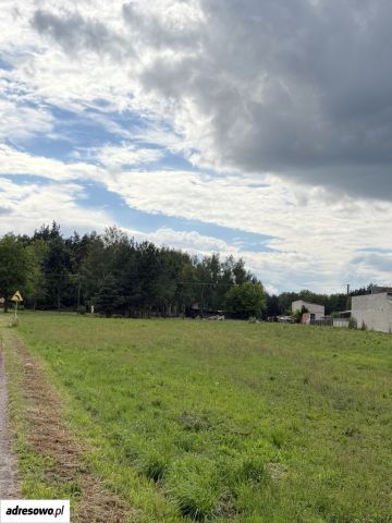 Działka rolno-budowlana Nowe Miasto, ul. Królewska. Zdjęcie 1