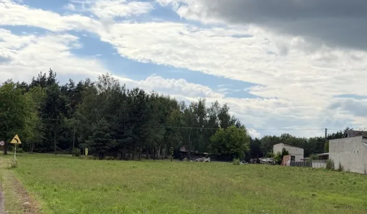 Działka rolno-budowlana Nowe Miasto, ul. Królewska