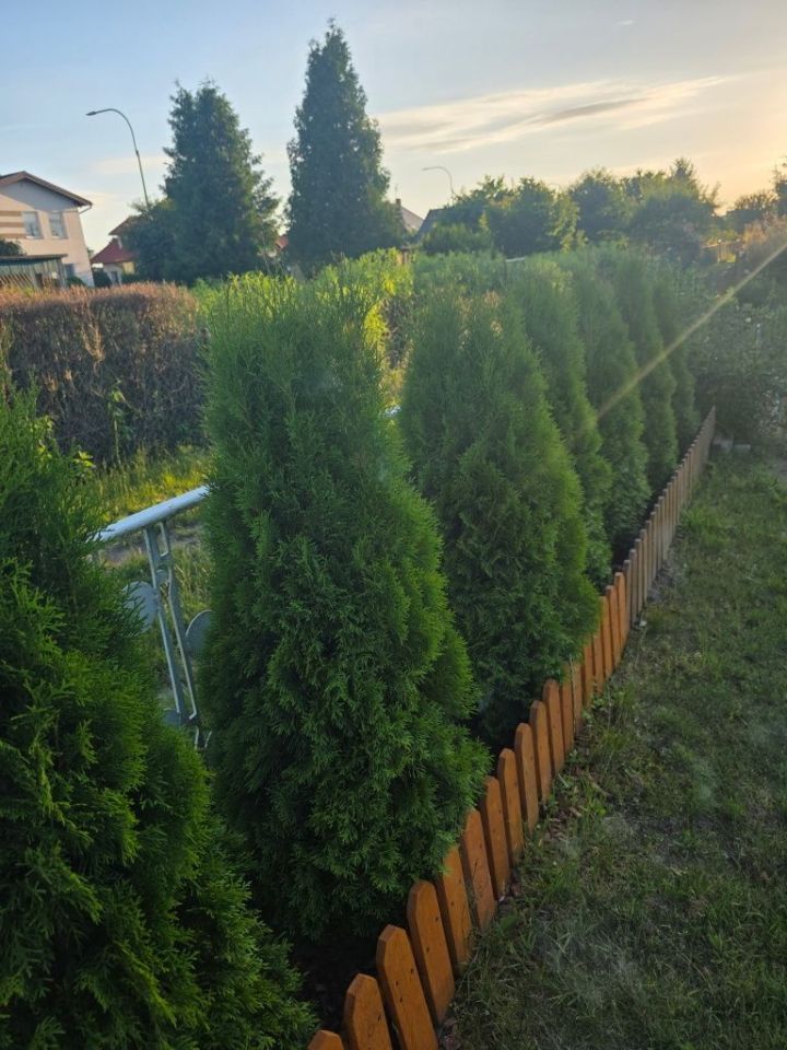 Działka rod Tczew. Zdjęcie 3