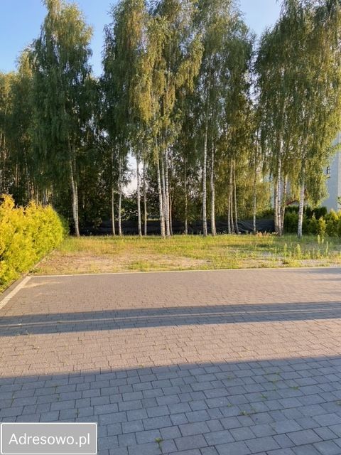 Lokal Miąse, ul. Kardynała Wyszyńskiego. Zdjęcie 6