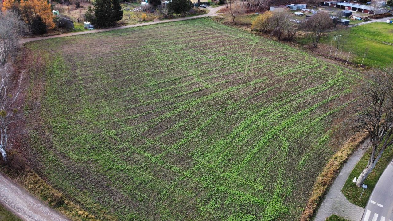 Działka rolno-budowlana Drzewiany. Zdjęcie 7