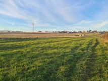 Działka rolna Pietrzykowice. Zdjęcie 3