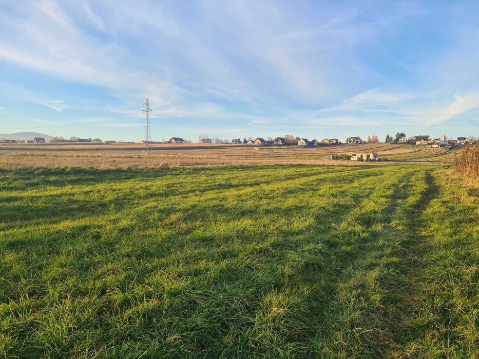 Działka rolna Pietrzykowice. Zdjęcie 4