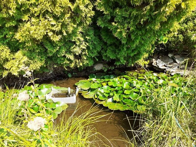 dom wolnostojący, 7 pokoi Gromadno. Zdjęcie 3