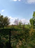 dom szeregowy Odechów. Zdjęcie 4