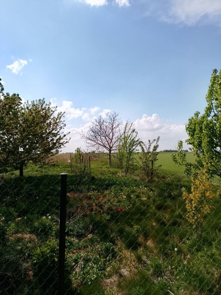dom szeregowy Odechów. Zdjęcie 5