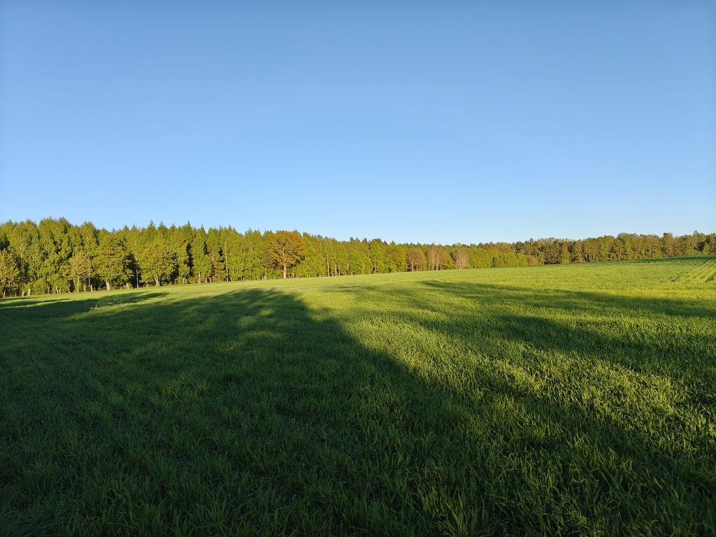 Działka siedliskowa Szczenurze. Zdjęcie 4