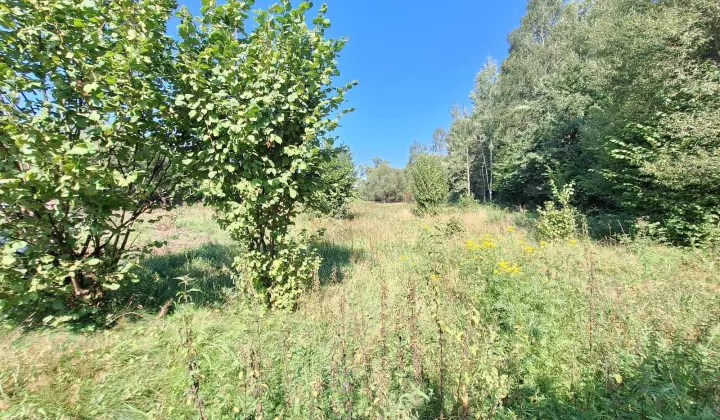 Działka inwestycyjna Jeleśnia