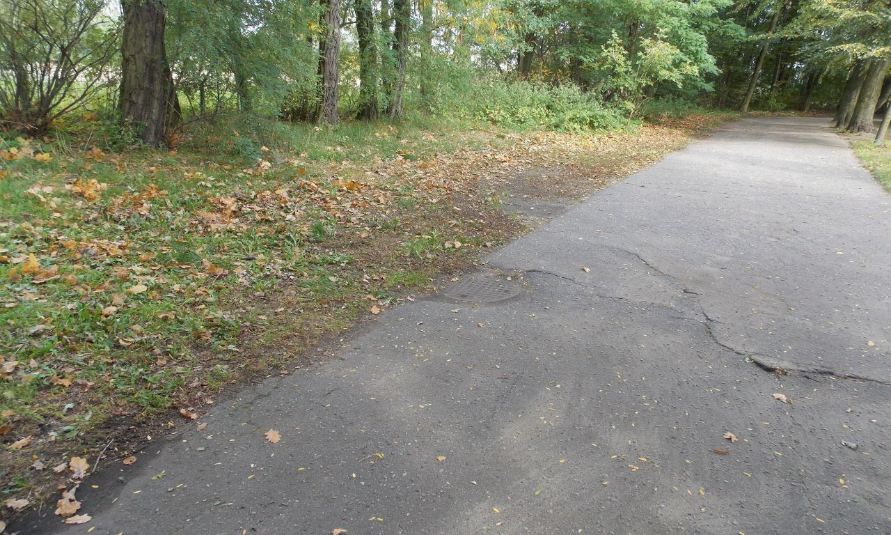 Działka inwestycyjna Nieborów, ul. Spacerowa. Zdjęcie 2