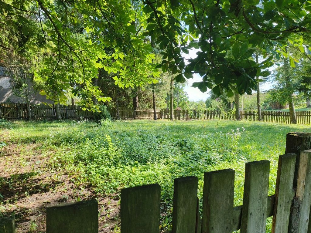 siedlisko, 4 pokoje Giże. Zdjęcie 8