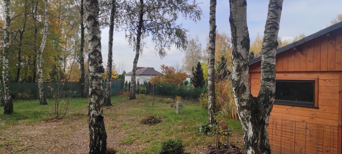 Działka rod Zdzieszowice