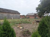 Działka budowlana Owczarnia Cegłówka. Zdjęcie 4