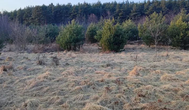 Działka budowlana Kliny, ul. Brzozowa