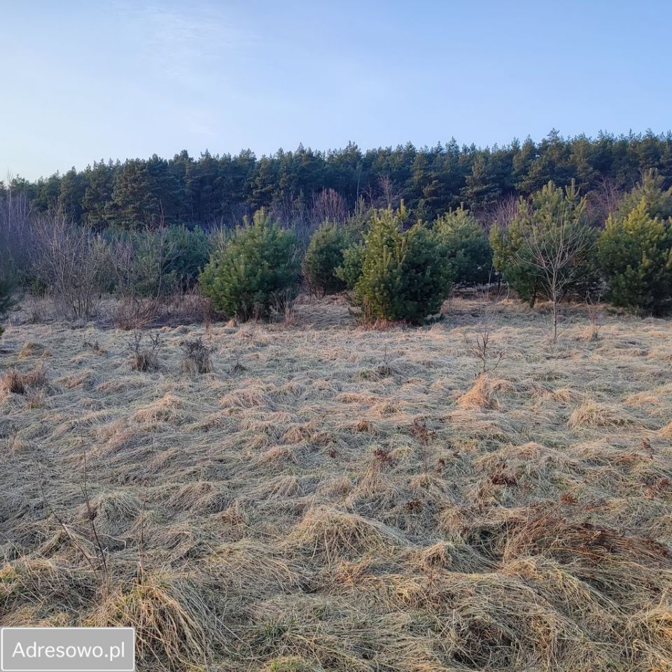 Działka budowlana Kliny, ul. Brzozowa. Zdjęcie 1