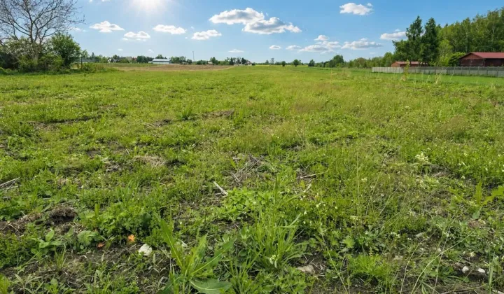Działka Budziszewice, ul. Leśna