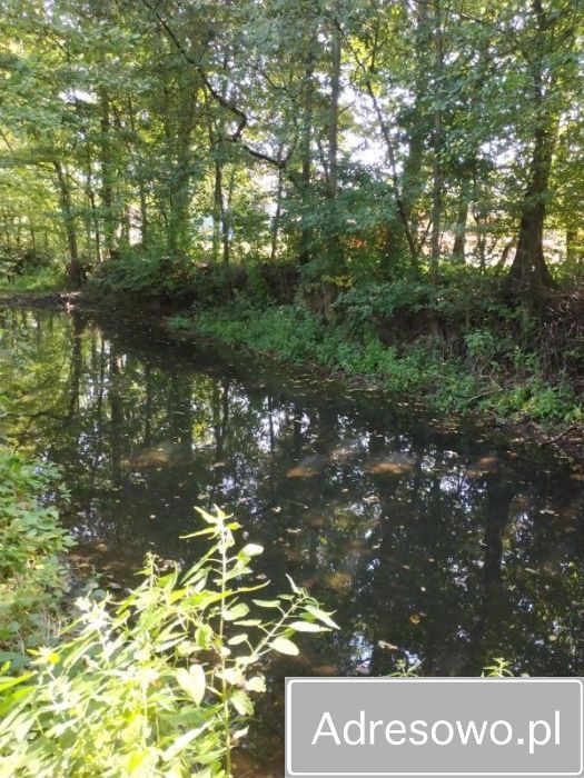 Działka budowlana Kąty. Zdjęcie 7