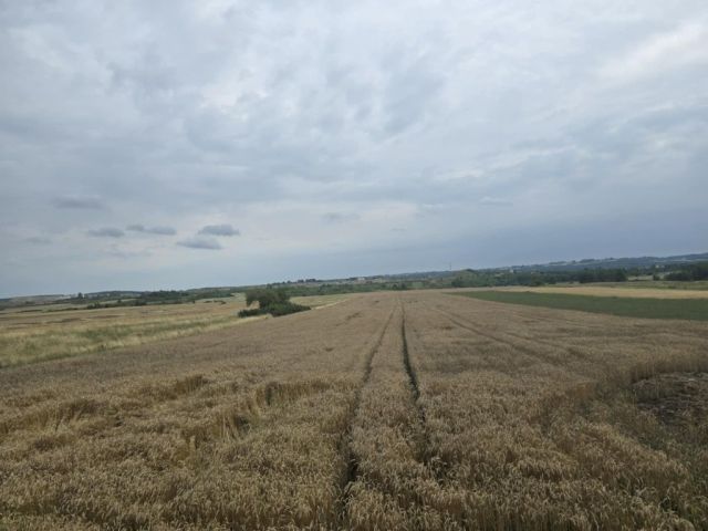 Działka rolna Wiśniowa. Zdjęcie 1