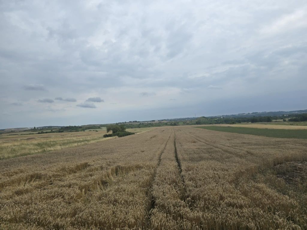 Działka rolna Wiśniowa