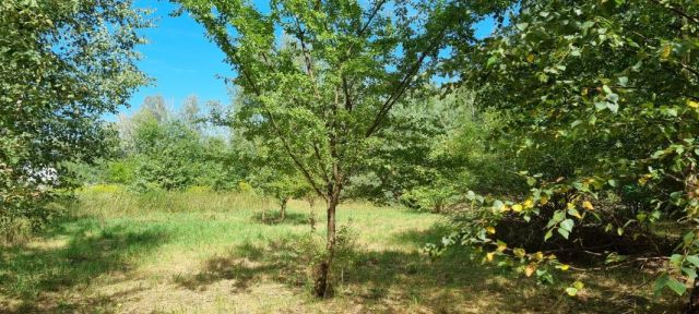 Działka budowlana Rusiec. Zdjęcie 2