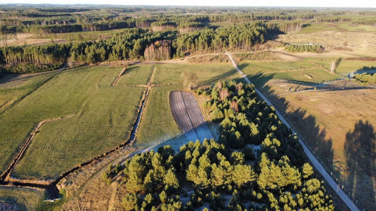 Działka rolna Sominy. Zdjęcie 6