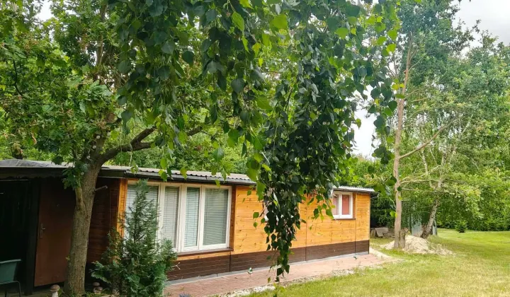 dom letniskowy Szczutkowo
