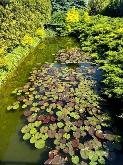 Działka budowlana Gliwice Bojków, ul. Żurawinowa. Zdjęcie 7