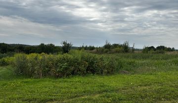 Działka rolno-budowlana Falczewo