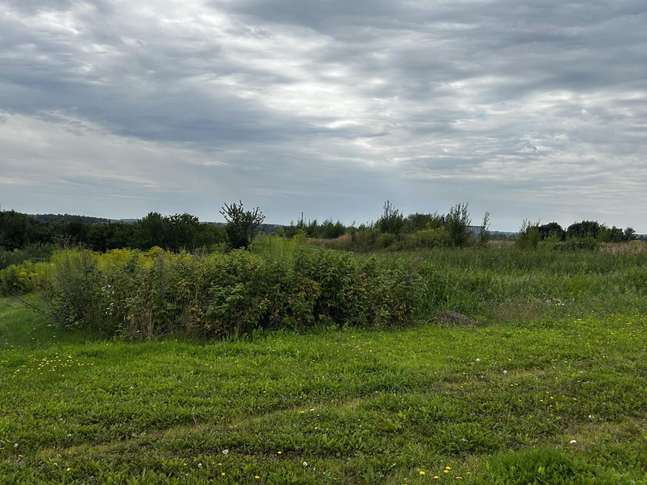 Działka rolno-budowlana Falczewo