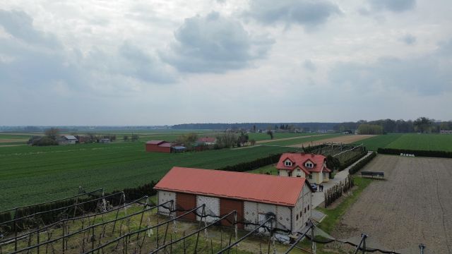 gospodarstwo, 4 pokoje Ciechanki Kolonia Ciechanki. Zdjęcie 10